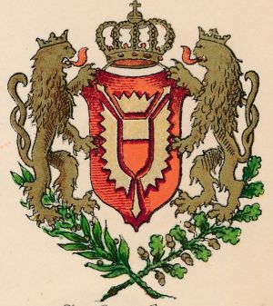 Wappen von Sachsenhagen/Coat of arms (crest) of Sachsenhagen