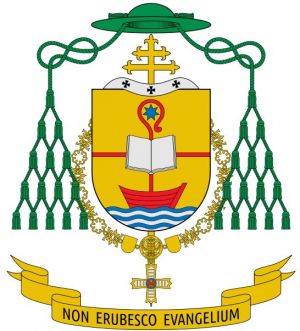 Arms of Braulio Rodríguez Plaza
