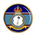 No 196 Squadron, Royal Air Force.jpg