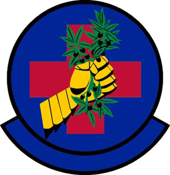 File:2nd Healthcare Operations Squadron, US Air Force.jpg