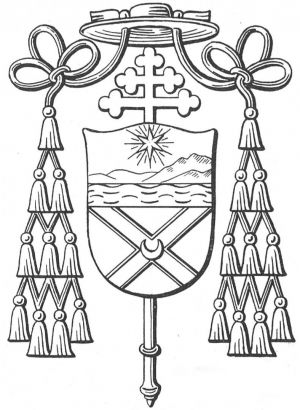 Arms of Adriano Bernardini