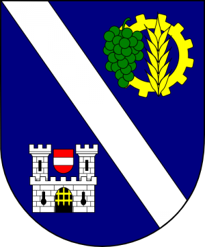 Arms of Florian Kunter