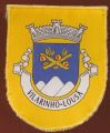 Brasão de Vilarinho (Lousã)/Arms (crest) of Vilarinho (Lousã)