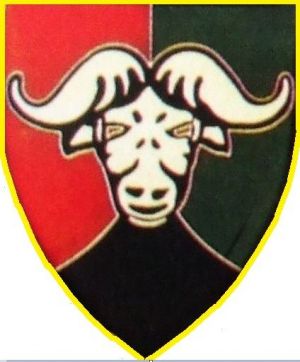 Coat of arms (crest) of the Buffalo Volunteer Rifles, South African Army