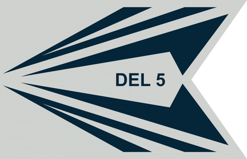 File:Space Delta 5, US Space Forceguidon.png