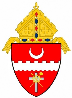 Arms (crest) of Diocese of Brownsville