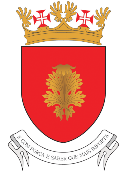 File:Training Directorate, Portuguese Air Force.png