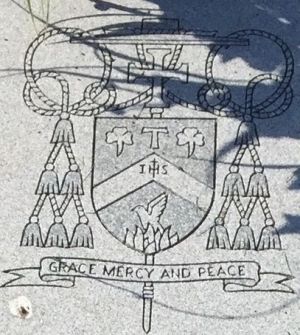 Arms of Timothy Joseph Lyne