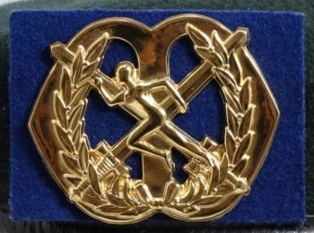 Beret Badge of the Physical Education and Sport, Netherlands Army