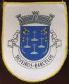Brasão de Silveiros/Arms (crest) of Silveiros