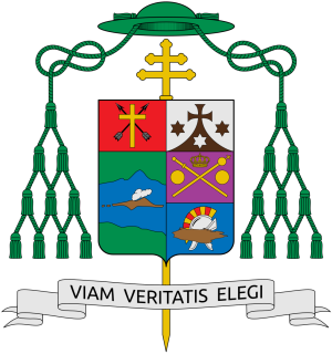 Arms of Ricardo Jamin Vidal