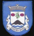 Brasão de Teixeira (Baião)/Arms (crest) of Teixeira (Baião)