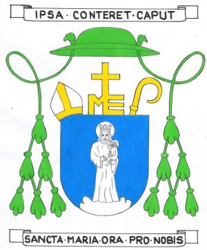 Arms of Bernard-Thadée Petitjean