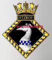 HMS Fitzroy, Royal Navy.jpg