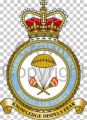 Airborne Delivery Wing, Royal Air Force.jpg