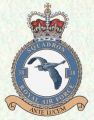 No 38 Squadron, Royal Air Force.jpg