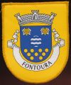 Brasão de Fontoura /Arms (crest) of Fontoura