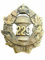 229th (South Saskatchewan) Battalion, CEF.jpg