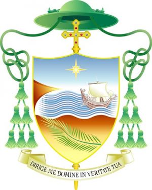 Arms of Salvatore Visco