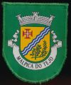 Brasão de Malpica do Tejo/Arms (crest) of Malpica do Tejo