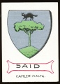 arms of the Said family