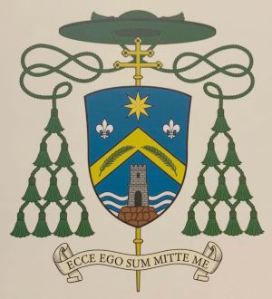 Arms of Javier Herrera Corona