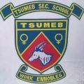 Tsumeb Secondary School.jpg