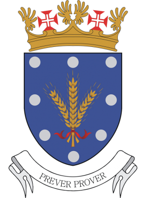 Air Force Financial Directorate, Portuguese Air Force.png