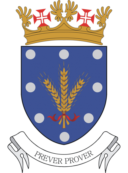 File:Air Force Financial Directorate, Portuguese Air Force.png