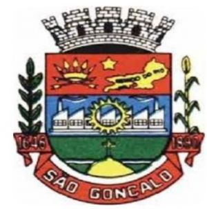 Arms (crest) of São Gonçalo (Rio de Janeiro)