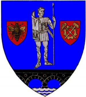 Stema Caraș-Severin (county)
