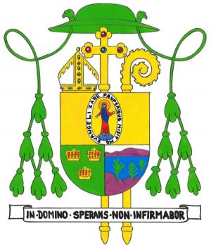 Arms of Johann Paul Odendahl Metz