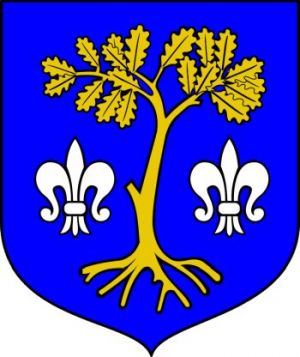 Arms of Dębowiec (Jasło)