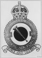 No 169 Squadron, Royal Air Force.jpg