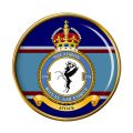 No 174 (Mauritius) Squadron, Royal Air Force.jpg
