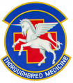 123rd Tactical Hospital, US Air Force.png