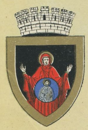 Coat of arms (crest) of Bacău