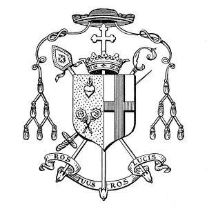 Arms of Umberto Rossi