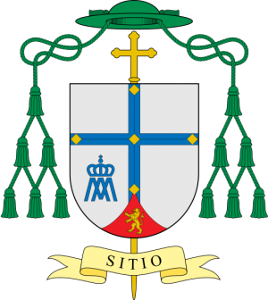 Arms of Jesús Vidal Chamorro