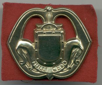 Beret Badge of the National Reserve Corps, Netherlands Army