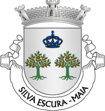 Brasão de Silva Escura (Maia)/Arms (crest) of Silva Escura (Maia)