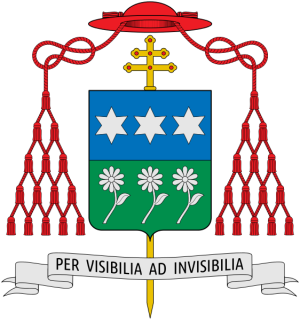 Arms of Marcello Mimmi