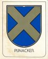 wapen van Pijnacker