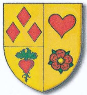 Arms of Jan de Molnere
