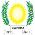 Bonito (Pará).jpg