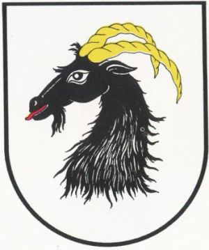 Arms of Głuchołazy