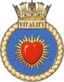 HMS Vitality, Royal Navy.jpg
