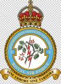 No 5 Information Services Squadron, Royal Air Force1.jpg