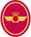 Plus Ultra Squadron, Royal Guard, Spain2.png