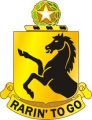 112th Cavalry Regiment, Texas Army National Guarddui.jpg